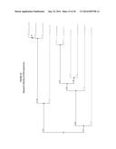 INCORPORATION OF METHYL LYSINE INTO POLYPEPTIDES diagram and image