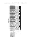 INCORPORATION OF METHYL LYSINE INTO POLYPEPTIDES diagram and image