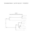 INCORPORATION OF METHYL LYSINE INTO POLYPEPTIDES diagram and image