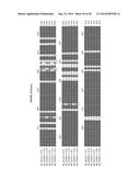 INCORPORATION OF METHYL LYSINE INTO POLYPEPTIDES diagram and image