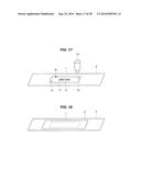 SEMICONDUCTOR CHIP AND SEMICONDUCTOR DEVICE diagram and image