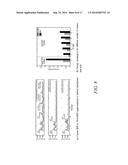 METHODS, SYSTEMS, AND COMPUTER READABLE MEDIA FOR REDUCING WI-FI SCANNING     USING CELLULAR NETWORK TO WI-FI ACCESS POINT MAPPING INFORMATION diagram and image