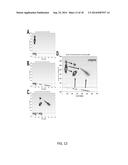 METHODS FOR ASSESSING CANCER diagram and image