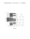 THERAPEUTIC COMPOSITIONS AND METHODS diagram and image