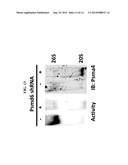 METHODS OF TREATING CANCER diagram and image