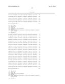 THYMIDINE KINASE GENE diagram and image