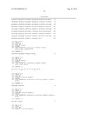 THYMIDINE KINASE GENE diagram and image