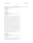 THYMIDINE KINASE GENE diagram and image