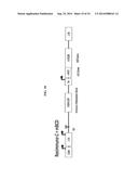 THYMIDINE KINASE GENE diagram and image