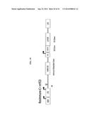 THYMIDINE KINASE GENE diagram and image