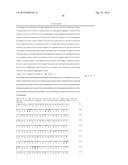 THYMIDINE KINASE GENE diagram and image