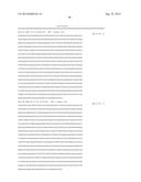 THYMIDINE KINASE GENE diagram and image