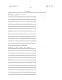 THYMIDINE KINASE GENE diagram and image