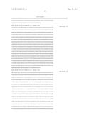 THYMIDINE KINASE GENE diagram and image