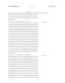 THYMIDINE KINASE GENE diagram and image