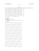 THYMIDINE KINASE GENE diagram and image