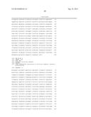 THYMIDINE KINASE GENE diagram and image