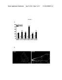 ENANTIOMERS OF 2-HYDROXY DERIVATIVES OF FATTY ACIDS diagram and image