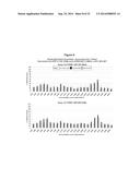 METHODS AND COMPOSITIONS FOR THE SPECIFIC INHIBITION OF BETA-CATENIN BY     DOUBLE-STRANDED RNA diagram and image