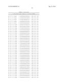 METHODS AND COMPOSITIONS FOR THE SPECIFIC INHIBITION OF BETA-CATENIN BY     DOUBLE-STRANDED RNA diagram and image