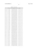 METHODS AND COMPOSITIONS FOR THE SPECIFIC INHIBITION OF BETA-CATENIN BY     DOUBLE-STRANDED RNA diagram and image