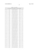 METHODS AND COMPOSITIONS FOR THE SPECIFIC INHIBITION OF BETA-CATENIN BY     DOUBLE-STRANDED RNA diagram and image