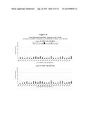 METHODS AND COMPOSITIONS FOR THE SPECIFIC INHIBITION OF BETA-CATENIN BY     DOUBLE-STRANDED RNA diagram and image