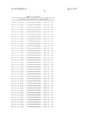 METHODS AND COMPOSITIONS FOR THE SPECIFIC INHIBITION OF BETA-CATENIN BY     DOUBLE-STRANDED RNA diagram and image