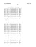 METHODS AND COMPOSITIONS FOR THE SPECIFIC INHIBITION OF BETA-CATENIN BY     DOUBLE-STRANDED RNA diagram and image