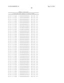 METHODS AND COMPOSITIONS FOR THE SPECIFIC INHIBITION OF BETA-CATENIN BY     DOUBLE-STRANDED RNA diagram and image