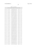 METHODS AND COMPOSITIONS FOR THE SPECIFIC INHIBITION OF BETA-CATENIN BY     DOUBLE-STRANDED RNA diagram and image