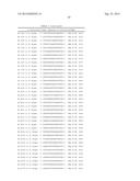 METHODS AND COMPOSITIONS FOR THE SPECIFIC INHIBITION OF BETA-CATENIN BY     DOUBLE-STRANDED RNA diagram and image