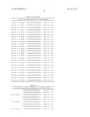 METHODS AND COMPOSITIONS FOR THE SPECIFIC INHIBITION OF BETA-CATENIN BY     DOUBLE-STRANDED RNA diagram and image