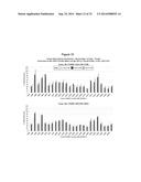 METHODS AND COMPOSITIONS FOR THE SPECIFIC INHIBITION OF BETA-CATENIN BY     DOUBLE-STRANDED RNA diagram and image