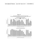 METHODS AND COMPOSITIONS FOR THE SPECIFIC INHIBITION OF BETA-CATENIN BY     DOUBLE-STRANDED RNA diagram and image