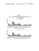 METHODS AND COMPOSITIONS FOR THE SPECIFIC INHIBITION OF BETA-CATENIN BY     DOUBLE-STRANDED RNA diagram and image