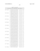 METHODS AND COMPOSITIONS FOR THE SPECIFIC INHIBITION OF BETA-CATENIN BY     DOUBLE-STRANDED RNA diagram and image