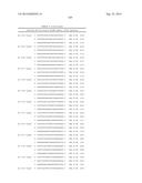 METHODS AND COMPOSITIONS FOR THE SPECIFIC INHIBITION OF BETA-CATENIN BY     DOUBLE-STRANDED RNA diagram and image