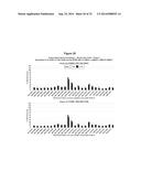 METHODS AND COMPOSITIONS FOR THE SPECIFIC INHIBITION OF BETA-CATENIN BY     DOUBLE-STRANDED RNA diagram and image