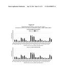 METHODS AND COMPOSITIONS FOR THE SPECIFIC INHIBITION OF BETA-CATENIN BY     DOUBLE-STRANDED RNA diagram and image