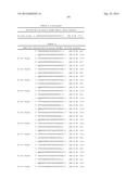 METHODS AND COMPOSITIONS FOR THE SPECIFIC INHIBITION OF BETA-CATENIN BY     DOUBLE-STRANDED RNA diagram and image