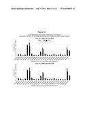 METHODS AND COMPOSITIONS FOR THE SPECIFIC INHIBITION OF BETA-CATENIN BY     DOUBLE-STRANDED RNA diagram and image