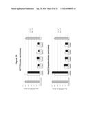 METHODS AND COMPOSITIONS FOR THE SPECIFIC INHIBITION OF BETA-CATENIN BY     DOUBLE-STRANDED RNA diagram and image