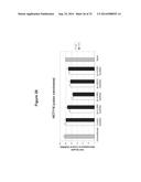 METHODS AND COMPOSITIONS FOR THE SPECIFIC INHIBITION OF BETA-CATENIN BY     DOUBLE-STRANDED RNA diagram and image