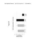 METHODS AND COMPOSITIONS FOR THE SPECIFIC INHIBITION OF BETA-CATENIN BY     DOUBLE-STRANDED RNA diagram and image