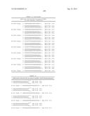 METHODS AND COMPOSITIONS FOR THE SPECIFIC INHIBITION OF BETA-CATENIN BY     DOUBLE-STRANDED RNA diagram and image