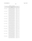 METHODS AND COMPOSITIONS FOR THE SPECIFIC INHIBITION OF BETA-CATENIN BY     DOUBLE-STRANDED RNA diagram and image