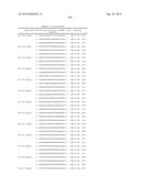 METHODS AND COMPOSITIONS FOR THE SPECIFIC INHIBITION OF BETA-CATENIN BY     DOUBLE-STRANDED RNA diagram and image