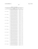 METHODS AND COMPOSITIONS FOR THE SPECIFIC INHIBITION OF BETA-CATENIN BY     DOUBLE-STRANDED RNA diagram and image