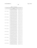 METHODS AND COMPOSITIONS FOR THE SPECIFIC INHIBITION OF BETA-CATENIN BY     DOUBLE-STRANDED RNA diagram and image